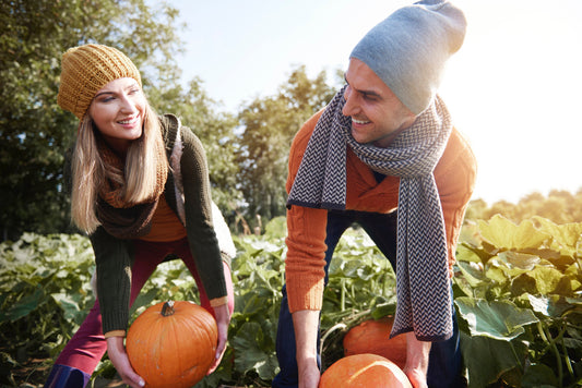 10 Farm Fall Activities: Embracing the Season