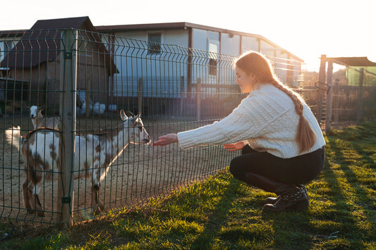 Building Shelter for Farm Animals: A Comprehensive Guide for Hobby Farmers