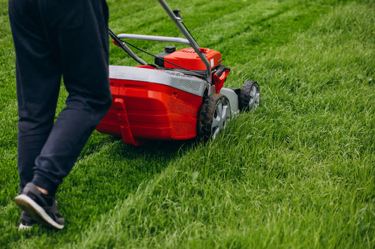 3 Tips to have the Greenest Lawn in your Neighborhood this Spring